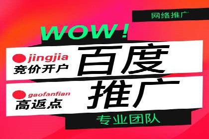 案例解读：SEM托管助力电商销售增长